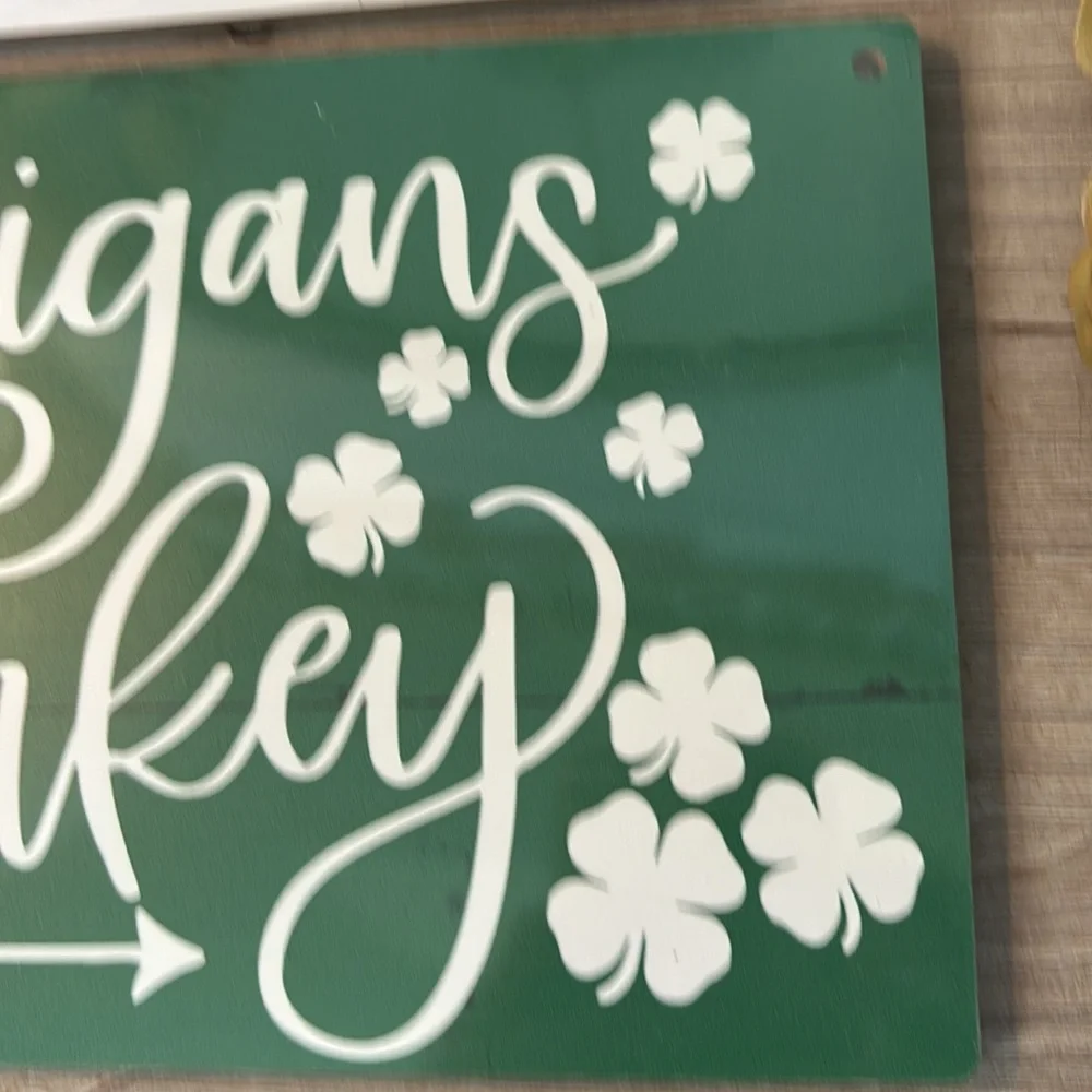 NWT St. Patrick’s Day Wood Hanging Sign